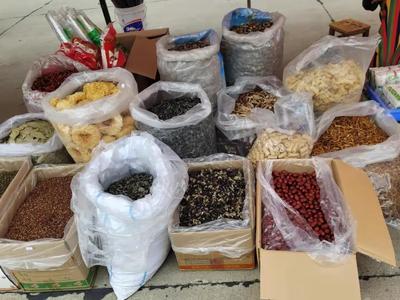 慶豐收 感黨恩——蘄春縣農副產品展銷會隆重開幕，特色好物匯聚一堂