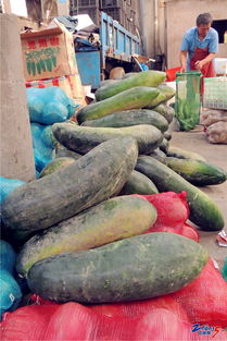 橫山橋農(nóng)副產(chǎn)品批發(fā)市場 新鮮平價，市民的菜籃子好去處